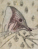 Serie Mariposas IV