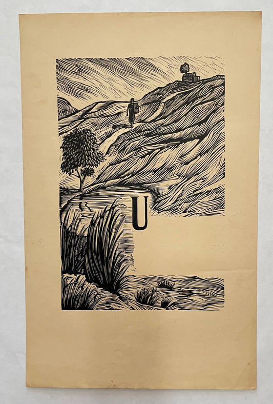 Portafolio Los Casos de Ignacio y Santiago (hacia el río)