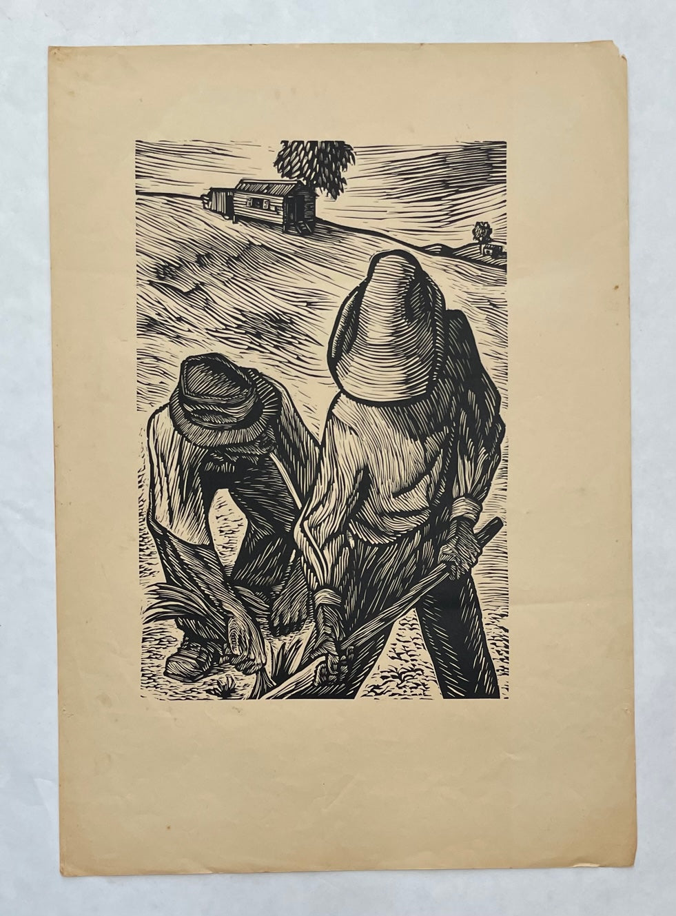 Portafolio Los Casos de Ignacio y Santiago (la desyerba)